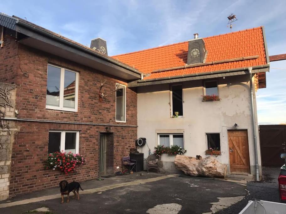 Ferienwohnung Felinenhof Weilerswist エクステリア 写真